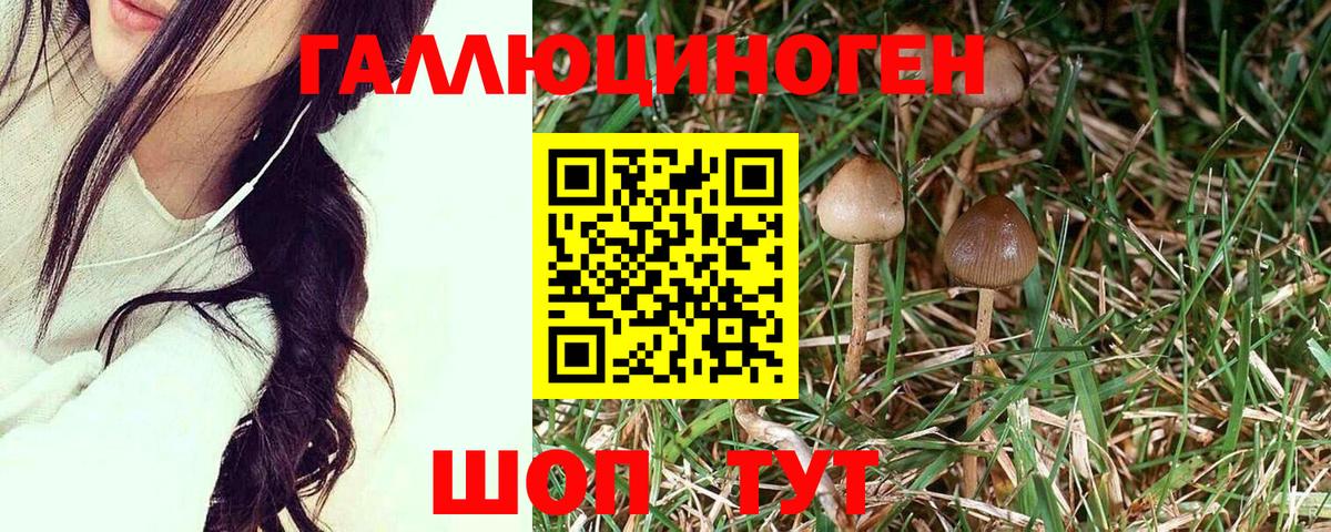 Галлюциногенные грибы ЛСД Ахтубинск