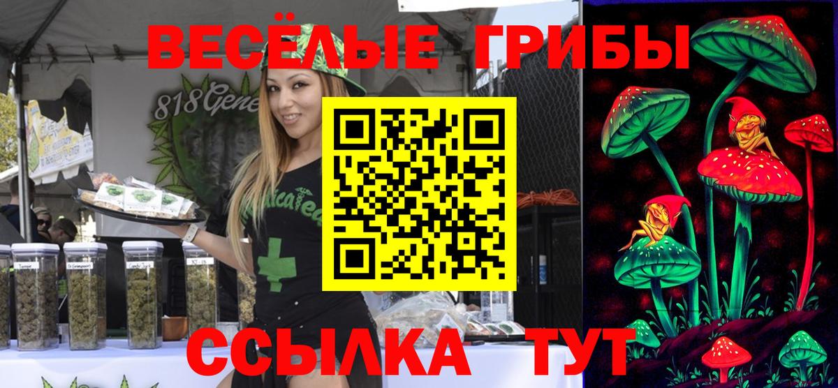 Галлюциногенные грибы MAGIC MUSHROOMS  Галлюциногенные грибы прущие грибы  Ахтубинск  Вход с VPN 